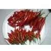 Fresh Chili With Stem