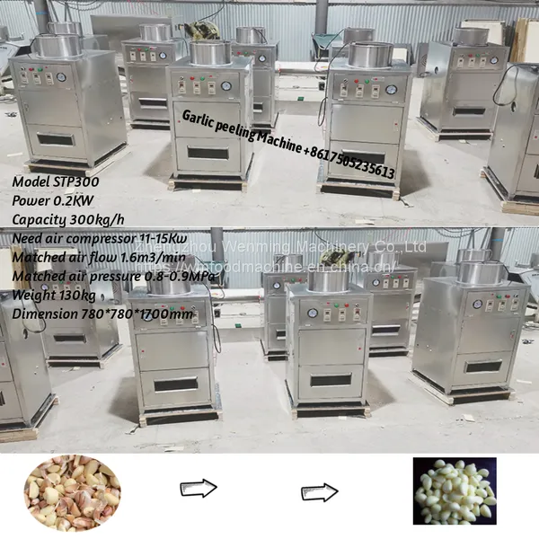 Automatic Garlic Peeling Machine Garlic Peeler Machine Factory Price photo-2