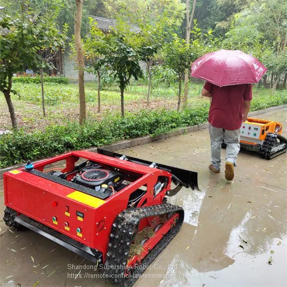 Robotic Slope Mower, China Grass Cutter Price, Robot Lawn Mower for Hills for Sale photo-3