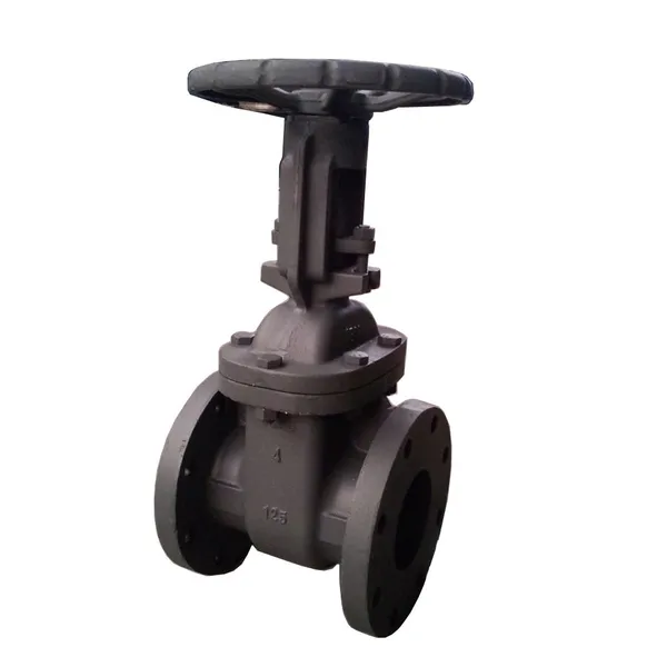 Long-Lasting ANSI Hard Seal Cast Iron Gate Valve with Ductile Iron Handle for Extended Service Life in Chemical Plants