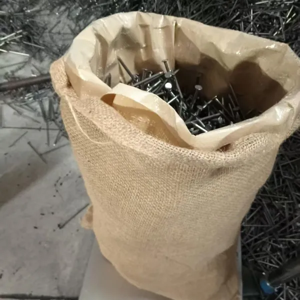 Galvanized Steel Wire Nails Q195 - Bulk Packaging for Industrial Use