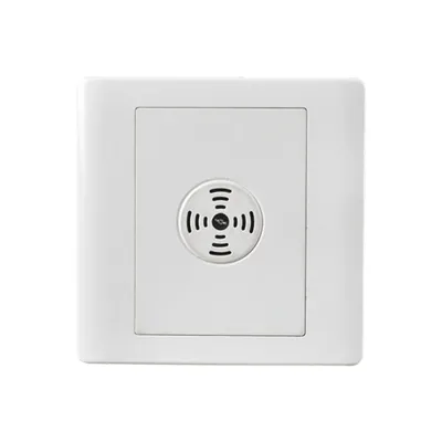 Induction Switch