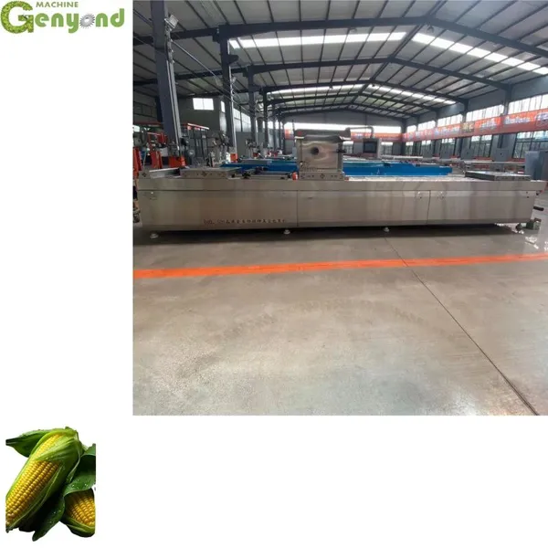 Quick-Freezing Production Line for High-Quality Fresh Corn With Vacuum Packed photo-4