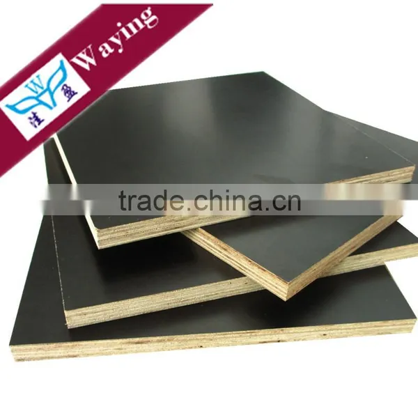 Phenolic Board 3/4 for Philippine Market photo-4