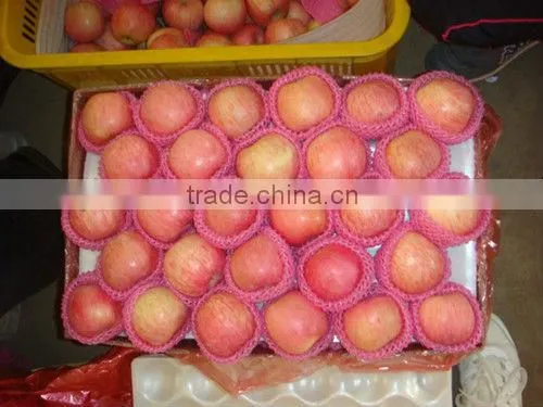 China Red Fresh Fuji Apple Price