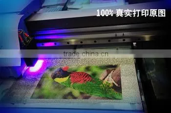 Led Curing Soft uv Ink for Epson Dx5 photo-2