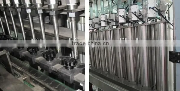 Automatic Engine Oil Filling Machine photo-2