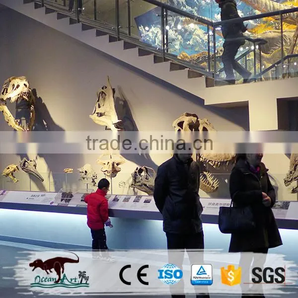 OA3113 Museum Quality Dinosaur Skull Replica Replica Dinosaur Skull photo-3