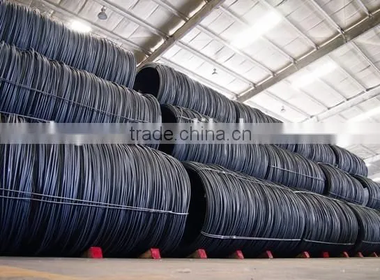 Low Carbon Iron Wire Rod Steel Coil photo-3