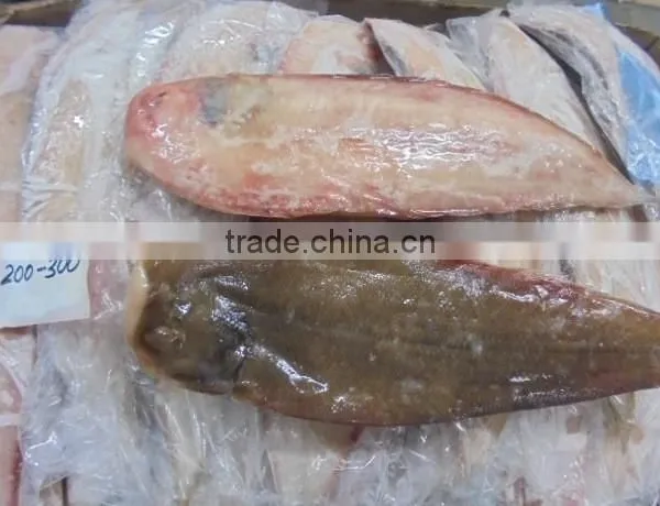FROZEN SOLE FISH photo-6