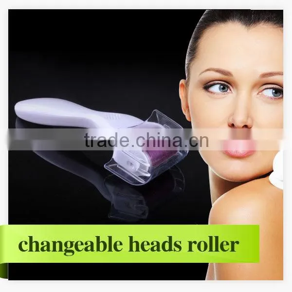 Best Body Stainles Micro Derma Roller Changeable Heads 1200 Needles Skin Derma Roller photo-2