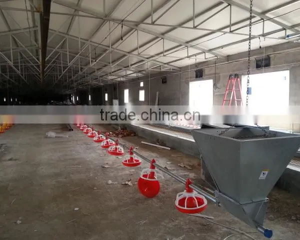 Parent Chicken Automatic Feeders for Female and Male photo-2