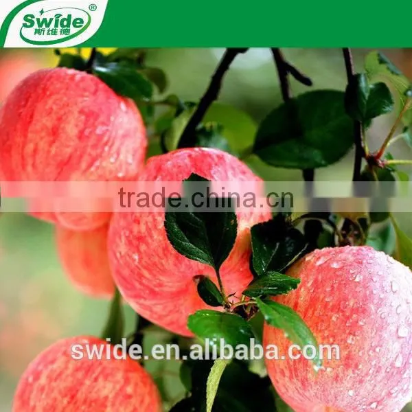 High Potassium Organic Fertilizer photo-2