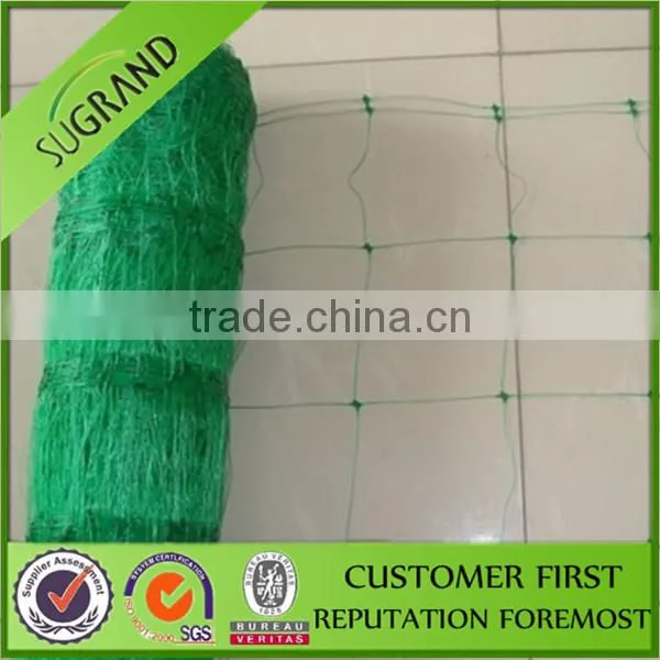 We Are Professional in Producing PP Bean Net to Europe