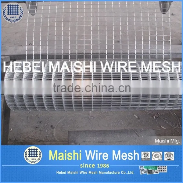 Stainless Steel Wire Mesh/304 Stainless Steel Wire Mesh/Stainless Steel Welded Wire Mesh Factory photo-3