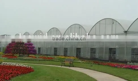Greenhouse Sheet photo-2