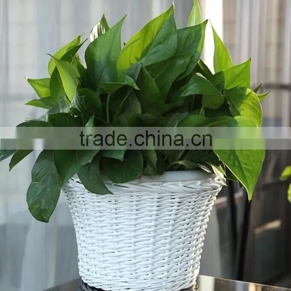 Cheap Wicker Woven Garden Flower Pot photo-2
