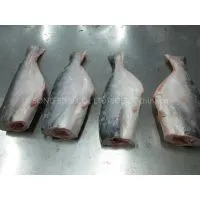 Pangasius Head On, Gutted & Tailed