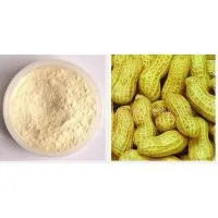 Luteolin Plant Extract Factory