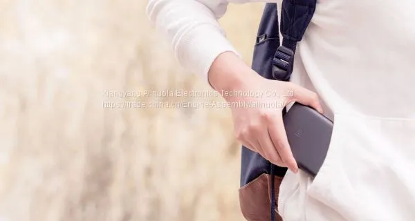 Xiaomi Power Bank 2 External Battery Portable Power Supply Black Sliver Quick Charge Support Android and IOS Mobile photo-5