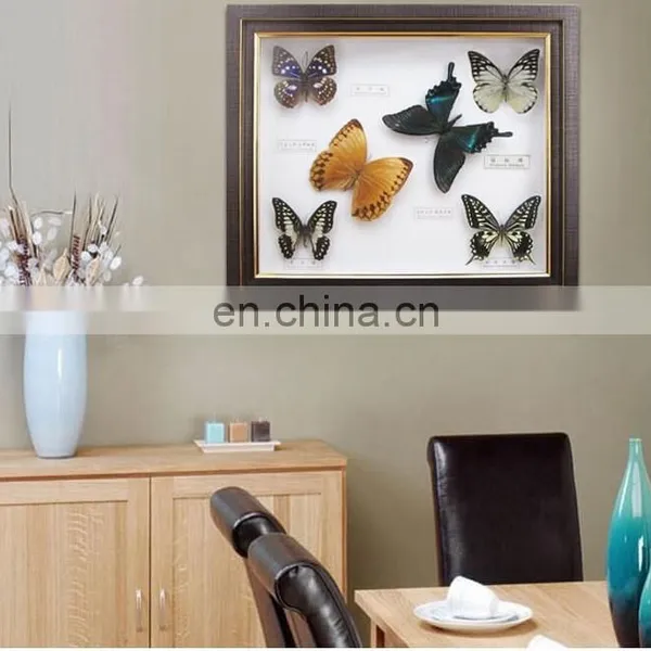 2015 New Real Butterfly Gift Picture Frame for Art Collection or Home Decoratons photo-3