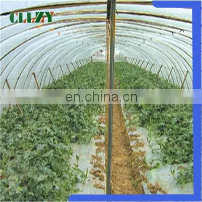 Hot Sale Pla Biodegradable Material in China photo-3