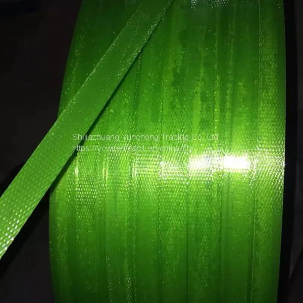 Green Embossed Polyester PET Plastic Strips for Packaging photo-2