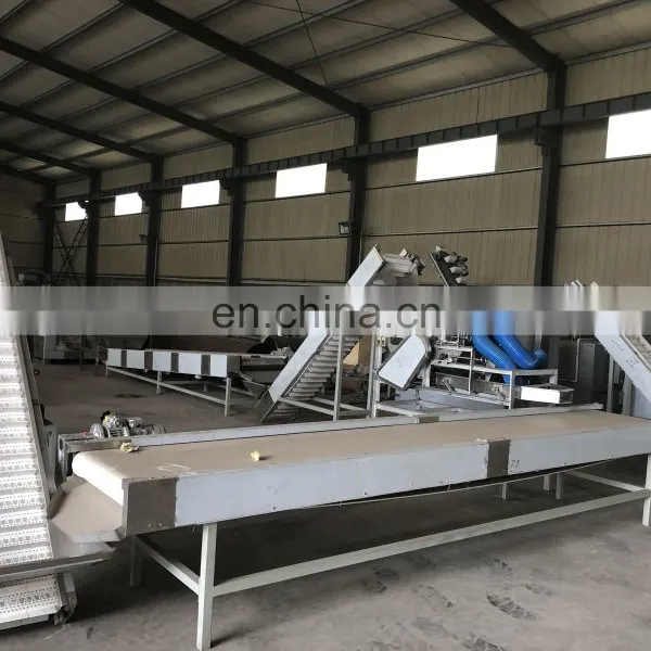 Low Price Peanut Butter Production Line Machine for Sale photo-3