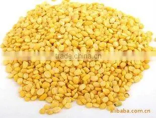 Yellow Mung Bean