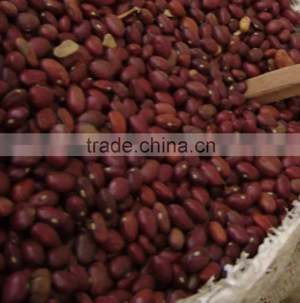 Offer Red Speckled Kidney White Beans Black Beans photo-3