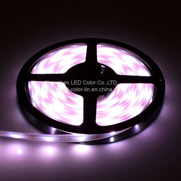Factory Direct Sale High Quality Waterproof Led Digital Strip Light photo-4