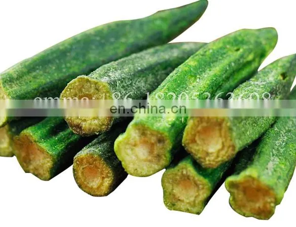 Lower Temperature Vacuum Fryer Price Vegetable Fruit Processing Line photo-5