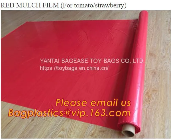 Perforated Ground Film, Vapor Barrier Film, Greenhouse Film, Agricultural Panda Film, Reflective Maylar Film