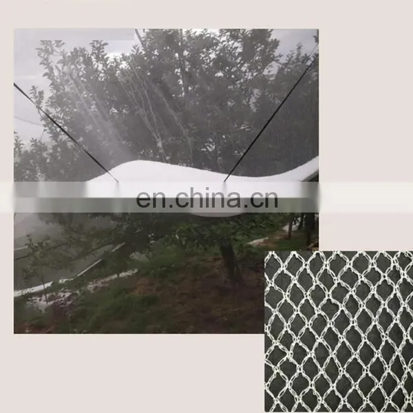 45g 50g 60g Agricultural HDPE Anti Hail Net Screenhouse for Plants Protection Fruit Tree photo-5