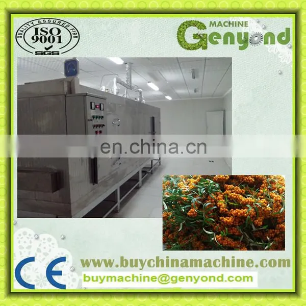 Sea Buckthorn Seed Powder Freeze Drying Processing Machine photo-2