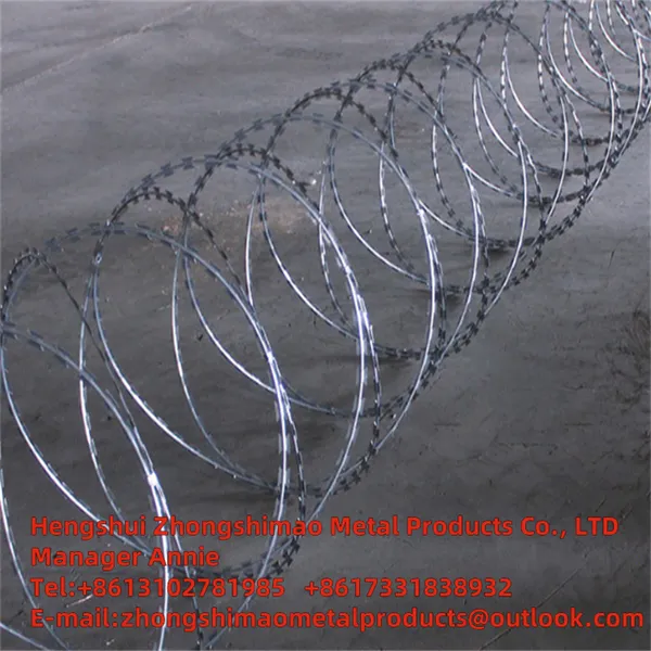 Electric Galvanized Barbed Wire; photo-3