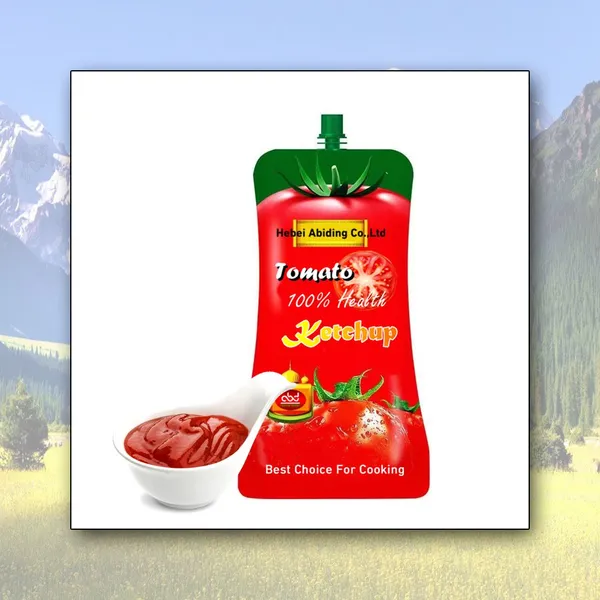 High Quality Organic High Concentrated Fresh Ketchup Sauce Sweet Sour Taste 12 Months Shelf Life Wholesale Bulk Supply Tomato photo-2