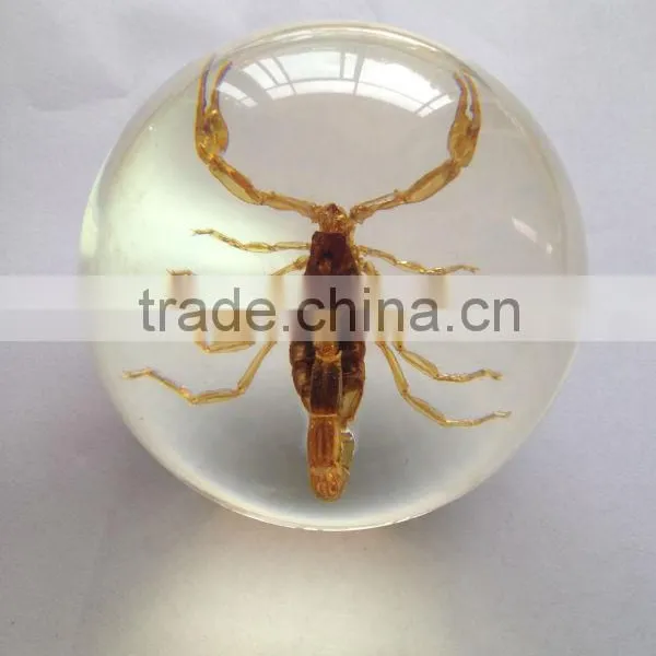 New Design Clear Plastic Christmas Sphere Ball With Real Ember Embedded for Promotional Gift photo-2