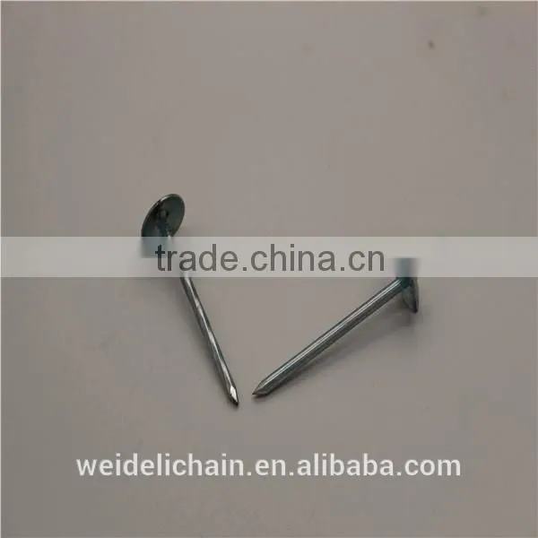 Competitive Price BWG10X2.5" Roofing Nails photo-3