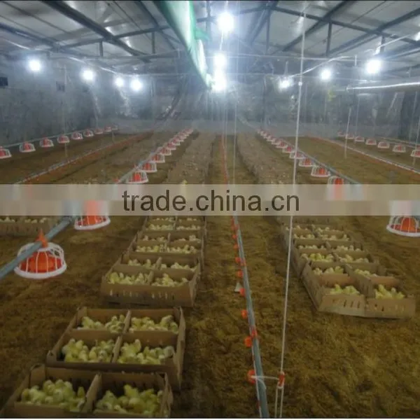 Broiler Farm House and Equipments photo-4