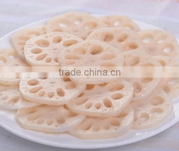 Cucumber/Yam/Lotus Root/Eggplant/Winter Squash/Carrot Slice Cutter Machine photo-5