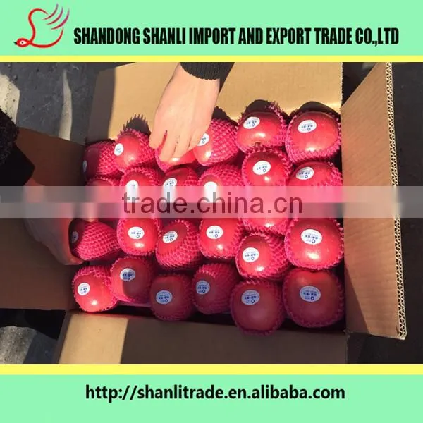 Red Delicious Apples ,delicious and Sweet photo-3