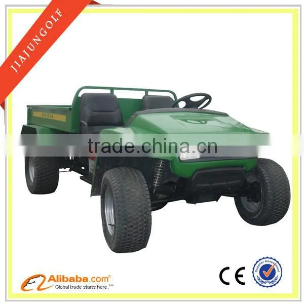 2 Seater Electric Utility Vehicle, EV