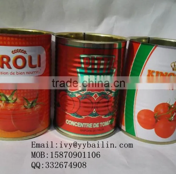 Factory Supply Good Quality and Lower Price Canned Tomato Paste photo-4