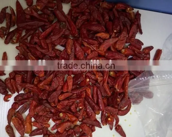 Dry Red Chili With High Quality photo-6
