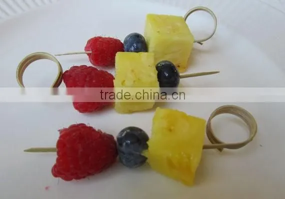 China Top Ten Selling Products Bbq Bamboo Ring Skewer photo-4