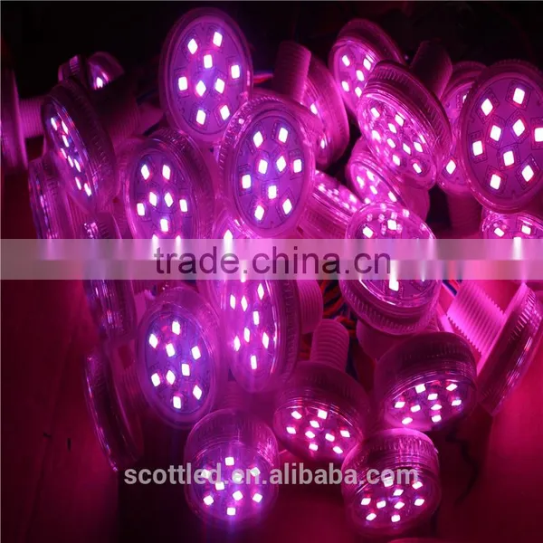 2015 Hot Sale!!! 2016 led edit software smd5050 45mm led pixel for luna park