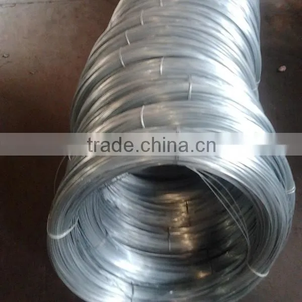 3mm Galvanized Wire Hot Sale photo-4