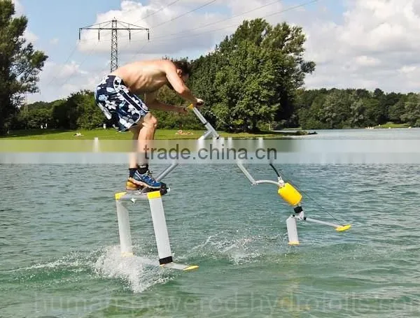 Water Bird For Sale