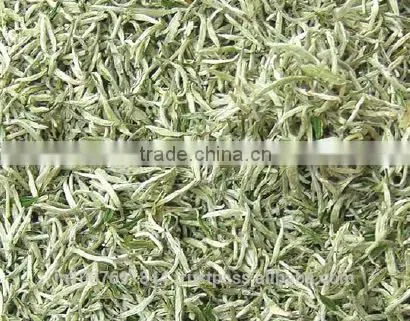 White Tea Silver Tip